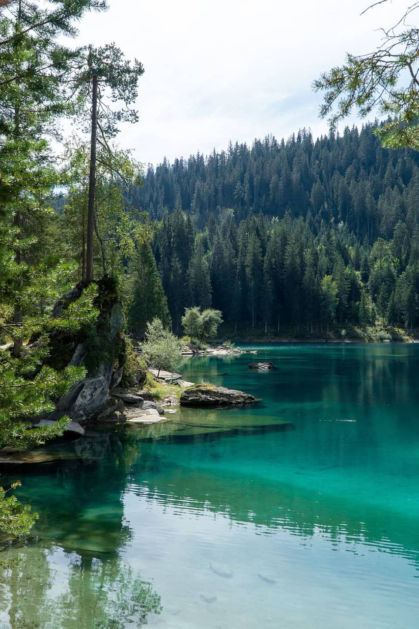 nature, switzerland, swiss