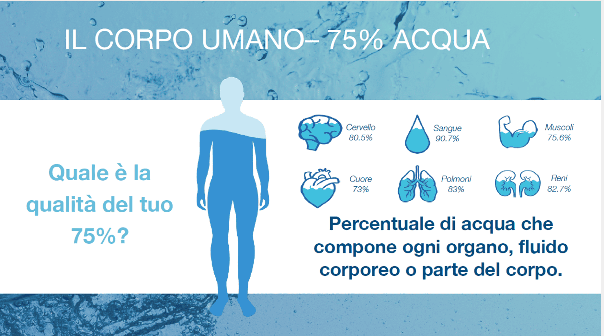 vita è l’acqua